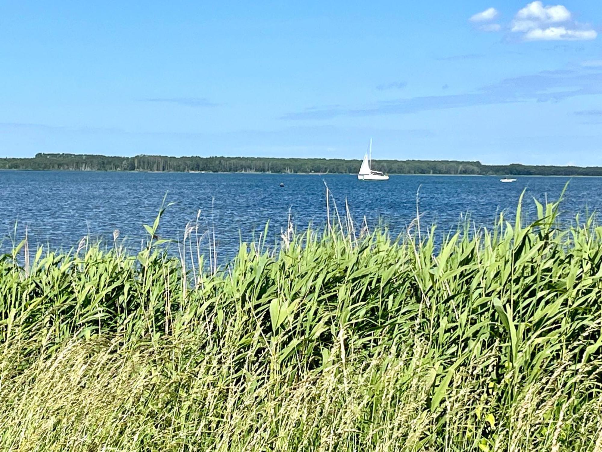 Ferienhaus Ruegen-Relax Trent Zewnętrze zdjęcie